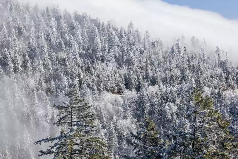 Winter in the smokies