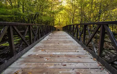 Gatlinburg Trail in the Smoky Mountains