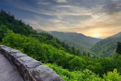 newfound gap view