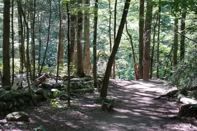 gatlinburg trail (3)