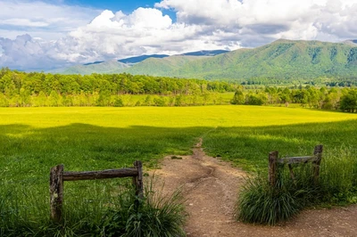 Cades Cove Smoky Mountains
