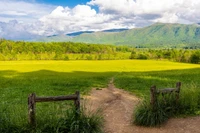 Cades Cove Smoky Mountains