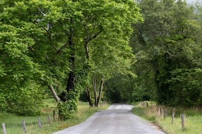 Cades Cove loop road