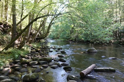 Little Pigeon River along Gatlinburg Trail