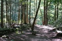 Gatlinburg Trail