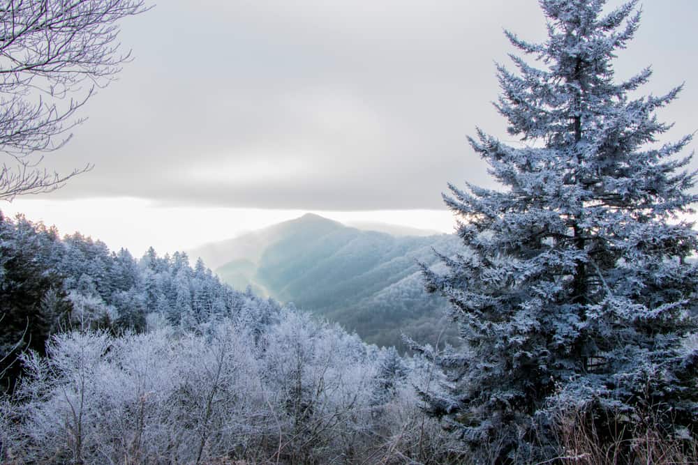 snow in the Great Smoky Mountains National Park