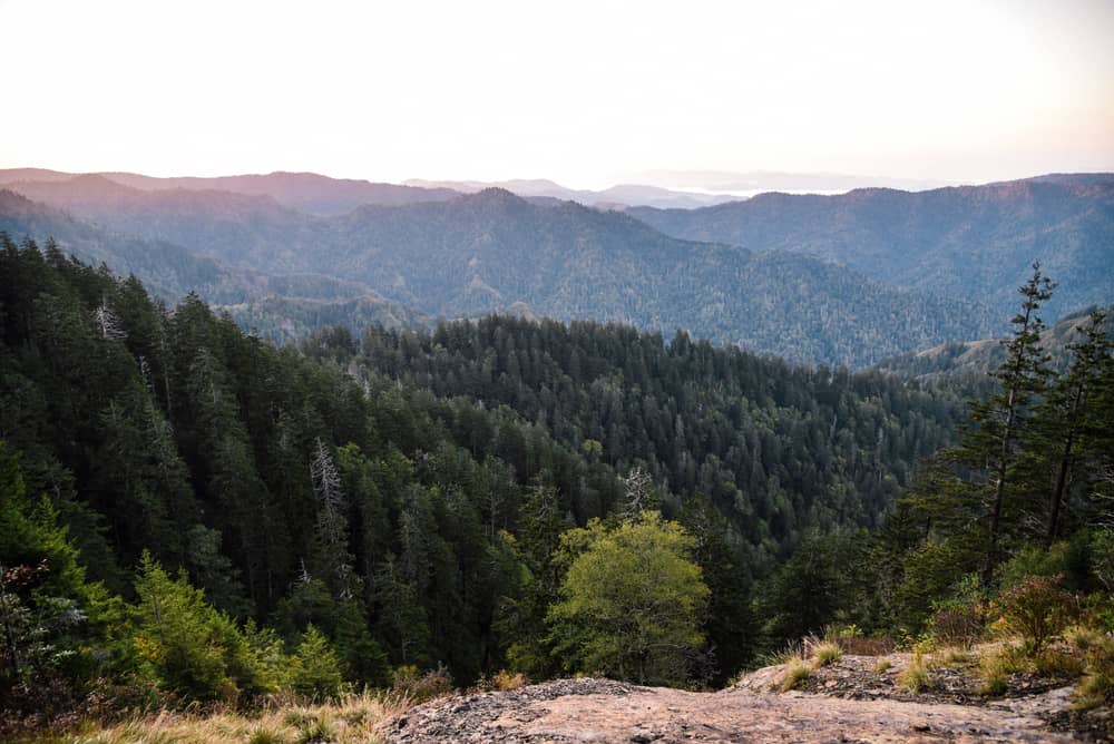 Mount LeConte in the Smoky Mountains